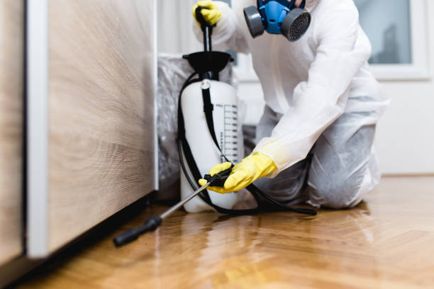 Best Rat Extermination Near Me  in Old Forge, PA