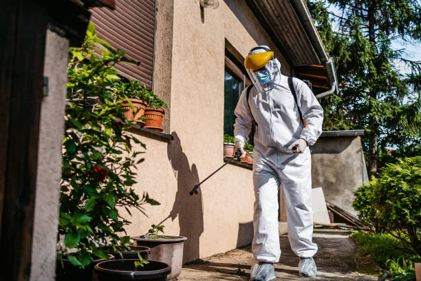 Best Flea Control Services  in Old Forge, PA