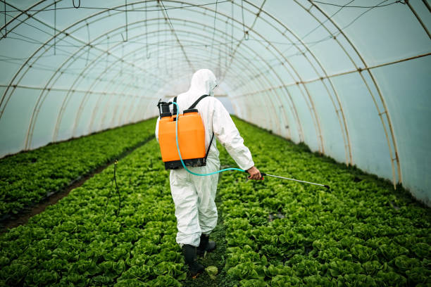 Best Pest Removal Services  in Old Forge, PA