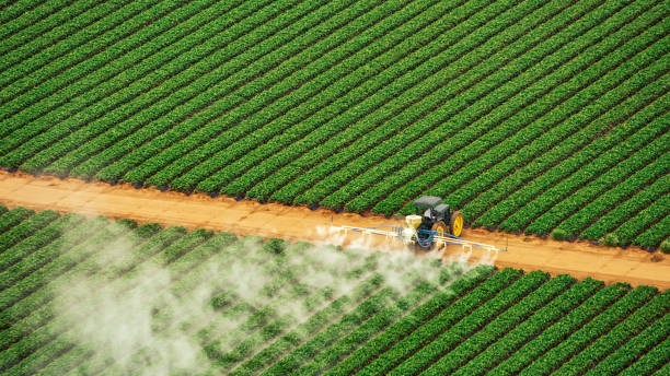 Best Commercial Pest Control Services  in Old Forge, PA