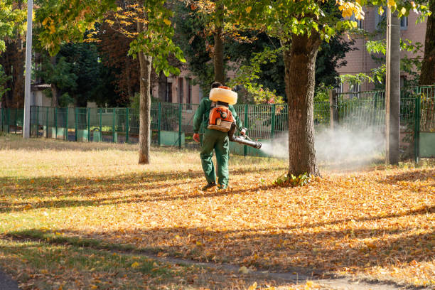 Best Pest Control Near Me in Old Forge, PA