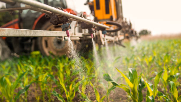 Professional Pest Control in Old Forge, PA